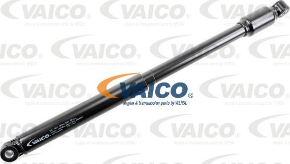 VAICO V30-1251 - Амортизатор рулевого управления autospares.lv