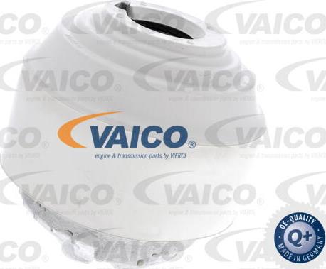 VAICO V30-8191 - Подушка, опора, подвеска двигателя autospares.lv