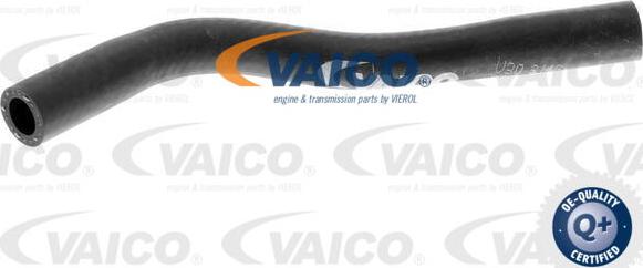 VAICO V30-3146 - Шланг радиатора autospares.lv