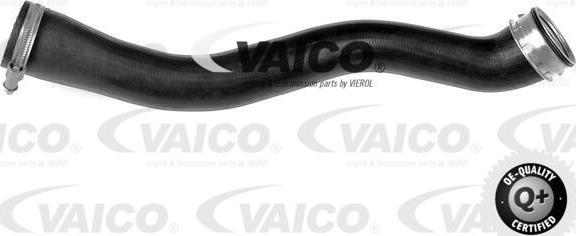 VAICO V33-0230 - Трубка, нагнетание воздуха autospares.lv