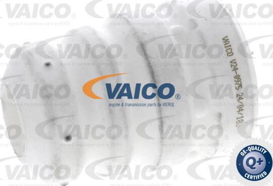 VAICO V24-0975 - Отбойник, демпфер амортизатора autospares.lv