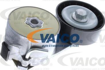 VAICO V24-0141 - Ролик, поликлиновый ремень autospares.lv