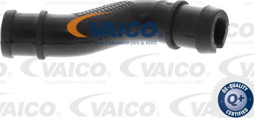 VAICO V24-1293 - Шланг, вентиляция картера autospares.lv