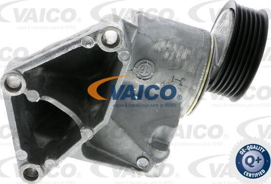 VAICO V25-9696 - Натяжитель, поликлиновый ремень autospares.lv