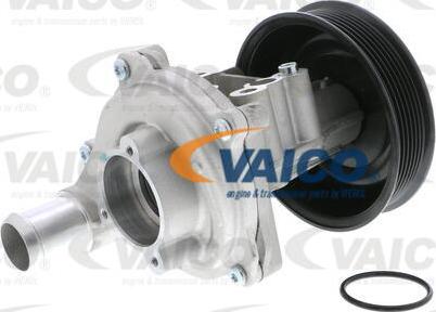 VAICO V25-50022 - Водяной насос autospares.lv