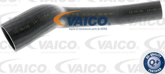 VAICO V25-0948 - Трубка, нагнетание воздуха autospares.lv