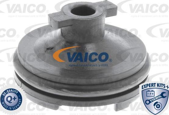 VAICO V25-1116 - Резьбовая пробка, масляный поддон autospares.lv