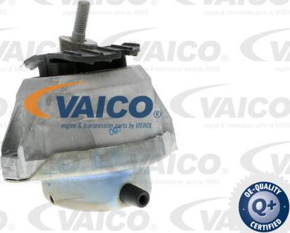 VAICO V20-0498 - Подушка, опора, подвеска двигателя autospares.lv