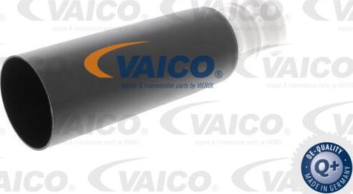 VAICO V20-1893 - Пылезащитный комплект, амортизатор autospares.lv