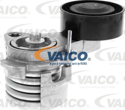 VAICO V20-1840 - Натяжитель, поликлиновый ремень autospares.lv