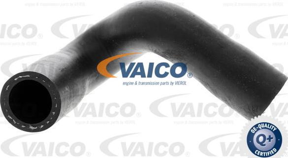 VAICO V20-1347 - Шланг радиатора autospares.lv