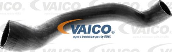 VAICO V20-3329 - Шланг радиатора autospares.lv