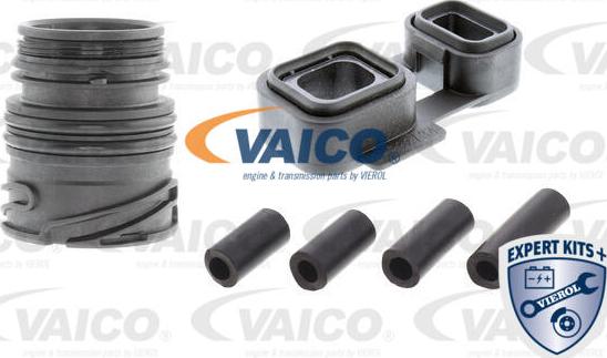 VAICO V20-3770-XXL - Комплект прокладок, автоматическая коробка autospares.lv