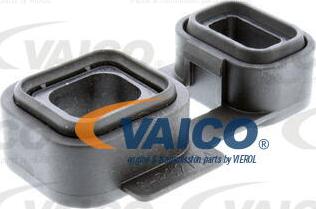 VAICO V20-2646 - Прокладка, автоматическая коробка autospares.lv