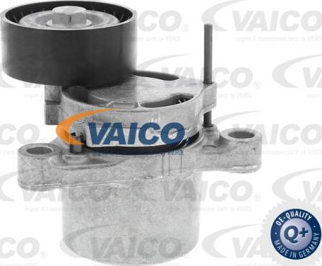 VAICO V20-2625 - Натяжитель, поликлиновый ремень autospares.lv