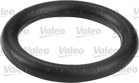 Valeo 587555 - Топливный фильтр autospares.lv