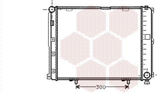 Van Wezel 30002035 - Радиатор, охлаждение двигателя autospares.lv