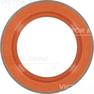 Victor Reinz 81-35876-00 - Уплотняющее кольцо, коленчатый вал autospares.lv