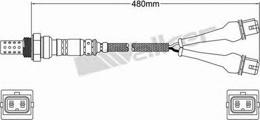 Walker 250-24579 - Лямбда-зонд, датчик кислорода autospares.lv