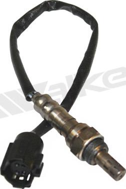 Walker Products 350-34439 - Лямбда-зонд, датчик кислорода autospares.lv