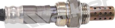 Walker Products 350-34853 - Лямбда-зонд, датчик кислорода autospares.lv