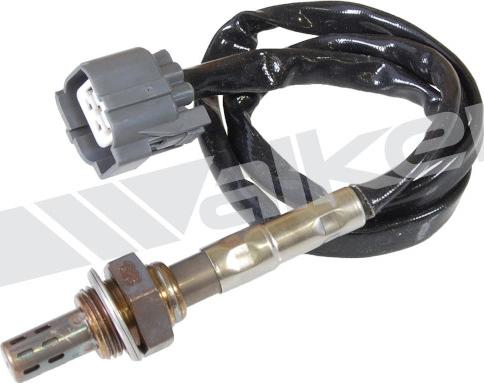 Walker Products 250-24922 - Лямбда-зонд, датчик кислорода autospares.lv