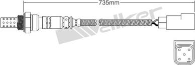 Walker Products 250-24552 - Лямбда-зонд, датчик кислорода autospares.lv