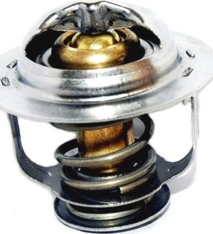 WE PARTS 421150163 - Термостат охлаждающей жидкости / корпус autospares.lv