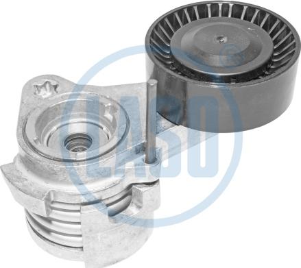 Wilmink Group WG1990043 - Натяжитель, поликлиновый ремень autospares.lv