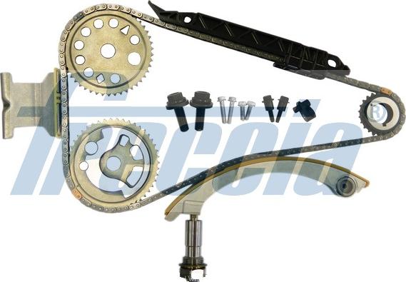 Wilmink Group WG1909991 - Комплект цепи привода распредвала autospares.lv