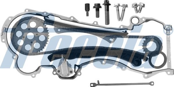 Wilmink Group WG1909971 - Комплект цепи привода распредвала autospares.lv