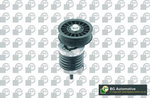 Wilmink Group WG1907398 - Натяжитель, поликлиновый ремень autospares.lv