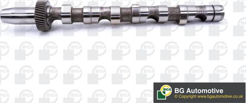 Wilmink Group WG1490420 - Распредвал autospares.lv