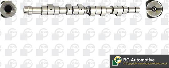 Wilmink Group WG1490555 - Распредвал autospares.lv