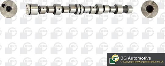 Wilmink Group WG1490581 - Распредвал autospares.lv