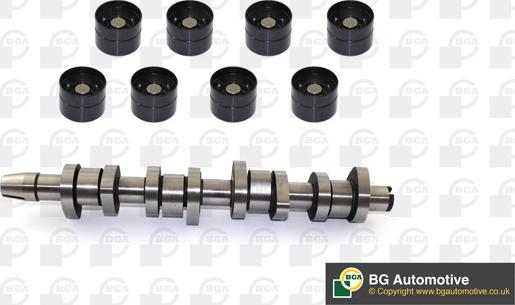 Wilmink Group WG1490654 - Комплект распредвала autospares.lv