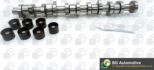 Wilmink Group WG1490638 - Комплект распредвала autospares.lv