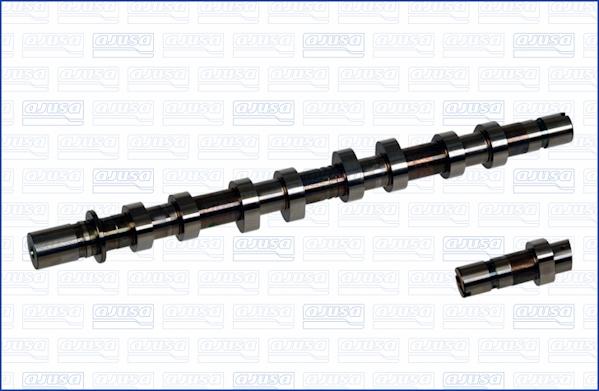 Wilmink Group WG1456566 - Распредвал autospares.lv