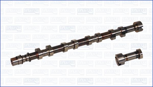 Wilmink Group WG1456584 - Распредвал autospares.lv