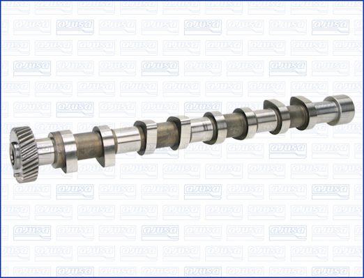 Wilmink Group WG1456834 - Распредвал autospares.lv