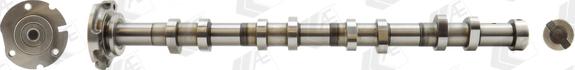 Wilmink Group WG1462587 - Распредвал autospares.lv