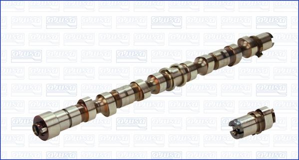 Wilmink Group WG1009706 - Распредвал autospares.lv