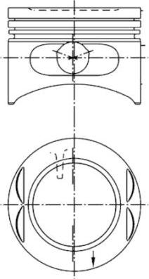 Wilmink Group WG1023565 - Поршень autospares.lv