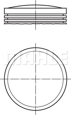 Wilmink Group WG1145341 - Поршень autospares.lv