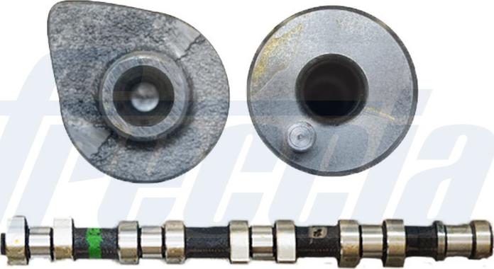 Wilmink Group WG1155388 - Распредвал autospares.lv