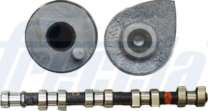 Wilmink Group WG1155387 - Распредвал autospares.lv