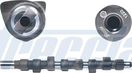 Wilmink Group WG1155325 - Распредвал autospares.lv