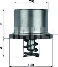 Wilmink Group WG1150247 - Термостат охлаждающей жидкости / корпус autospares.lv