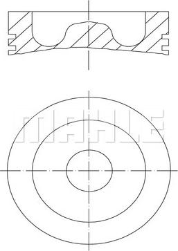 Wilmink Group WG1104576 - Поршень autospares.lv