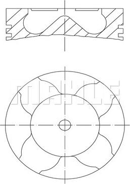 Wilmink Group WG1104226 - Поршень autospares.lv